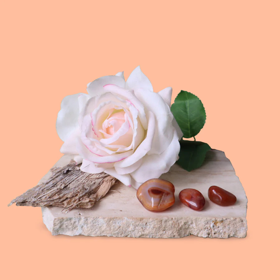 Alien Type 300ml Candle